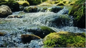 river