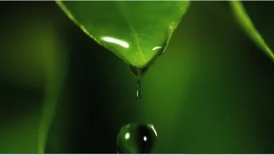 water