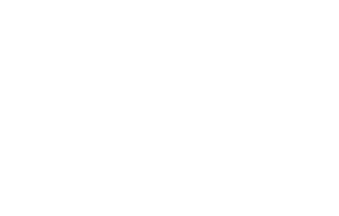 bento box