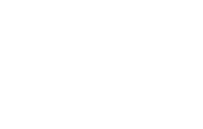 bento box