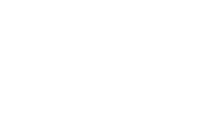 bento box