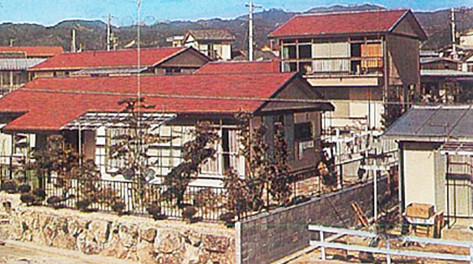 Housing with Colonial roofs