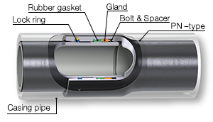 PN-type